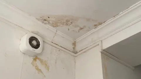 Delia Iona/BBC White corner of ceiling with black mould on