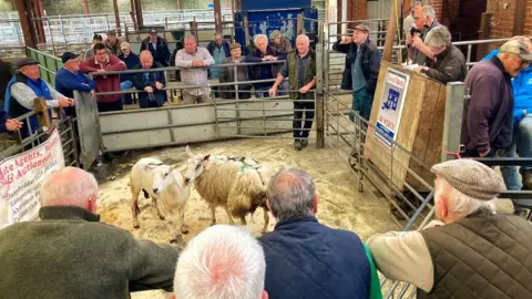 Llanybydder mart