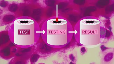 Graphic of the testing system