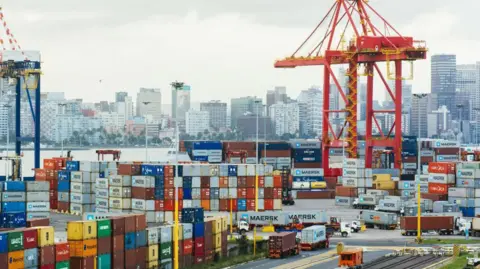 Getty Images A ship-to-shore crane stands above shipping containers on the dockside at the Port of Durban in 2018.