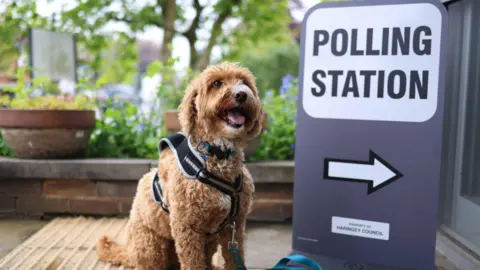 EPA Dogs at polling stations