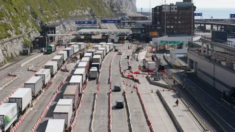 Gareth Fuller/PA Wire Queues of lorries at the entrance to the check-in at Port of Dover