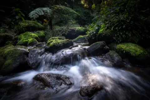 Tony Jolliffe A stream on Mount Mabu