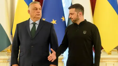 Maxym Marusenko/NurPhoto via Getty Images Hungary's Prime Minister Viktor Orban and Ukrainian President Volodymyr Zelenskiy are shaking hands before their meeting in Kyiv, Ukraine, on July 2, 2024