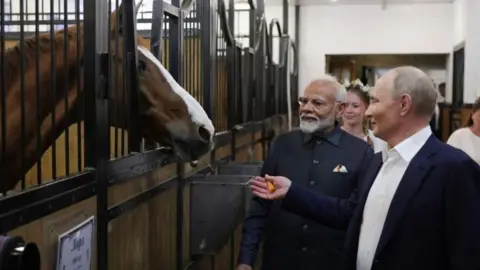 AFP In this pool photograph distributed by the Russian state agency Sputnik, Russia's President Vladimir Putin and Indian Prime Minister Narendra Modi visit the stable during an informal meeting at the Novo-Ogaryovo state residence, outside Moscow, on July 8, 2024