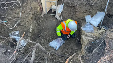 Old Bell Hotel A large pit in the ground with a man in hi-vis looking at a skeleton