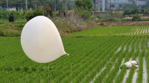 Getty Images A trash-carrying balloon, flown by North Korea overnight, lands at a rice paddy field in the northwestern border county of Ganghwa, South Korea, 10 June 2024