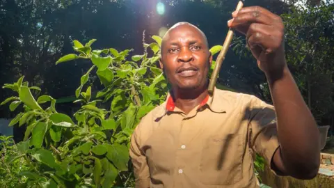 BBC Man looking at a plant