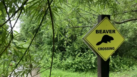 A beavers crossing sign at the nature reserve