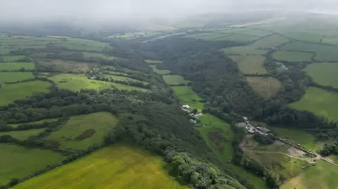 Aerial view of the site of a future rainforest showing green fields and hills