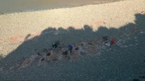 House 7 Creative An aerial shot of the footprints Tegan found on a beach near Penarth in south Wales