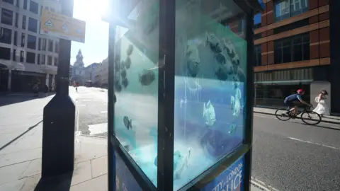 PA Media Fish tank installation on Ludgate Hill