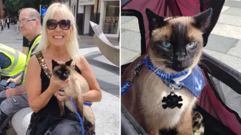 Holly Hennessy Left picture is a blonde woman wearing large sunglasses holding a beige and brown cat on her knee.
Right picture in a brown faced beige cat with blue eyes, wearing a blue lead and collar.