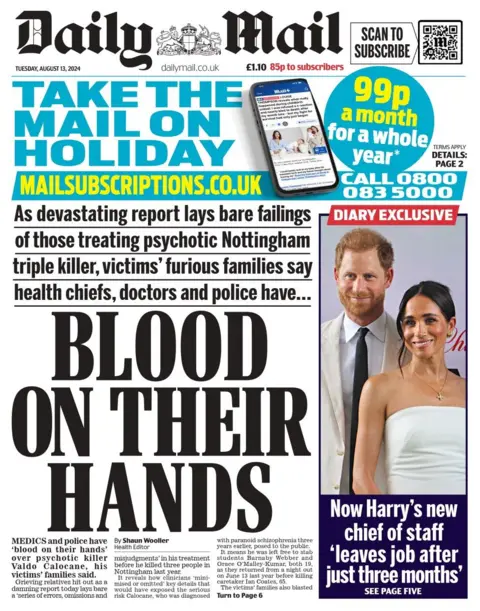 The headline in the Daily Mails reads: Blood on their hands