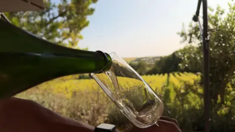 Wine being poured into a wine glass in front of a backdrop of vines. The bottle is green and the glass is filled a tiny amount.