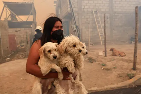 Karen Toro / Reuters A woman carrying dogs looks on amid smoke from wildfires