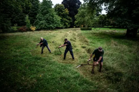 Ben Birchall / PA Media Mowers and members of the Scythe Association of Britain and Ireland, use scythes to cut through meadowland at Highgrove, in Tetbury, Gloucestershire