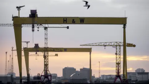 PA Media The two yellow cranes. A seagull is flying over them. The sky at the forefront of the camera is cloudy, but the sky is pink in the distance. 