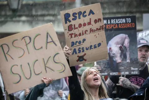 Getty Images Protestors