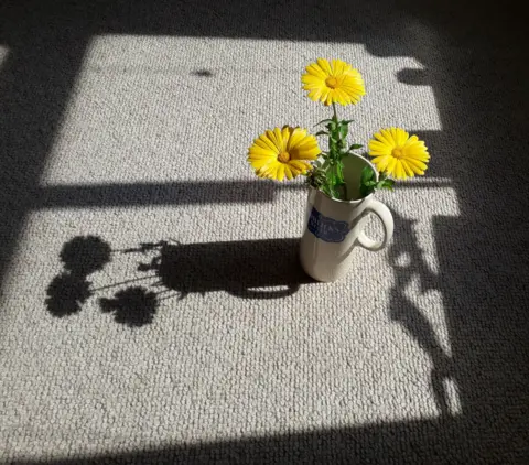 Chris Blay  A jug of yellow Calendula flowers in bright sunlight, which accentuates the shadow of the vase on a grey carpet