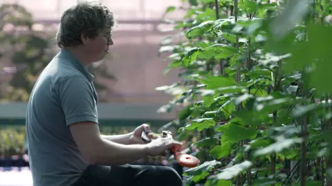 Ross James/BBC Propagator tending to saplings 