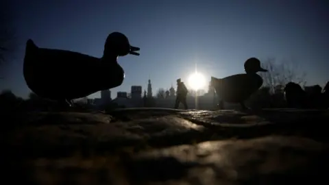 Getty Images Duck sculpture at dusk near the Novodevichy Convent in Moscow 