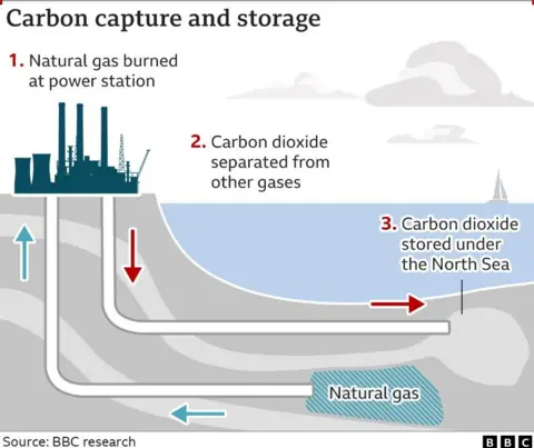 Graphic demonstrating how carbon capture works. It shows a power station on one side and the sea on the other. Underneath there are tunnels showing natural gas going up and in and carbon dioxide coming out and being stored under the North Sea.