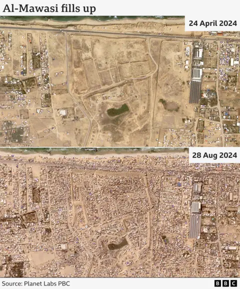 Before and after satellite image of al-Mawasi, showing how temporary accommodation and tents have proliferated between 24 April 2024 and 28 August 2024