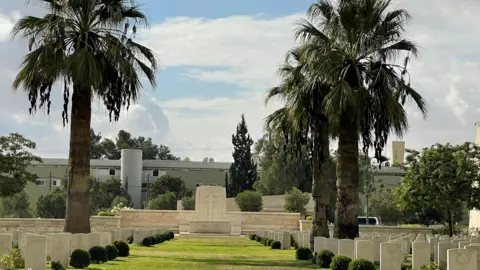 Adrian Hughes Palm trees and graves in a line in a cemetery in Israel