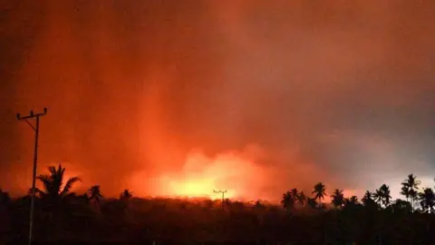 EPA Palm trees and telephone wires are seen beneath an orange sky as Mount Lewotobi Laki-Laki erupts