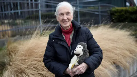 Getty Images Dr. Jane Goodall with her beloved stuffed monkey, Mr. H